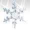 雪の結晶：詳細ページ